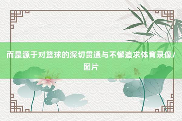 而是源于对篮球的深切贯通与不懈追求体育录像/图片