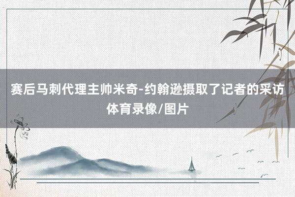 赛后马刺代理主帅米奇-约翰逊摄取了记者的采访体育录像/图片
