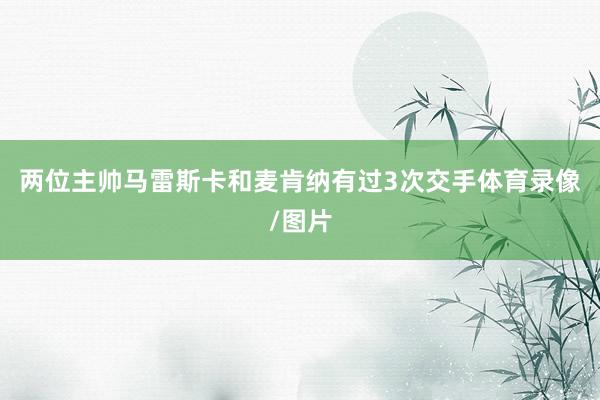 两位主帅马雷斯卡和麦肯纳有过3次交手体育录像/图片