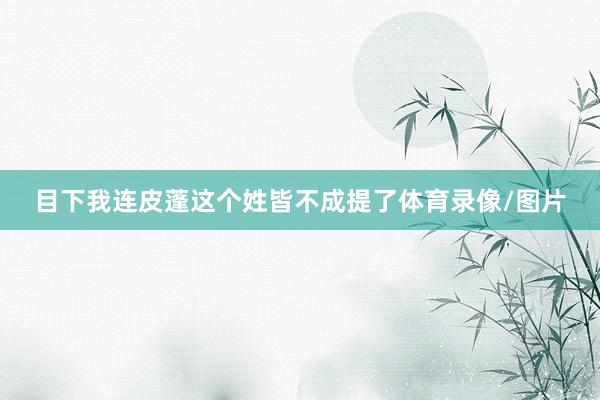 目下我连皮蓬这个姓皆不成提了体育录像/图片