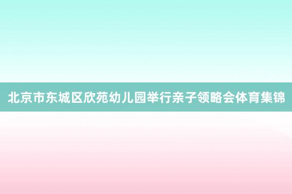 北京市东城区欣苑幼儿园举行亲子领略会体育集锦