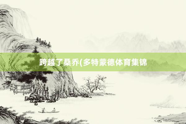 跨越了桑乔(多特蒙德体育集锦
