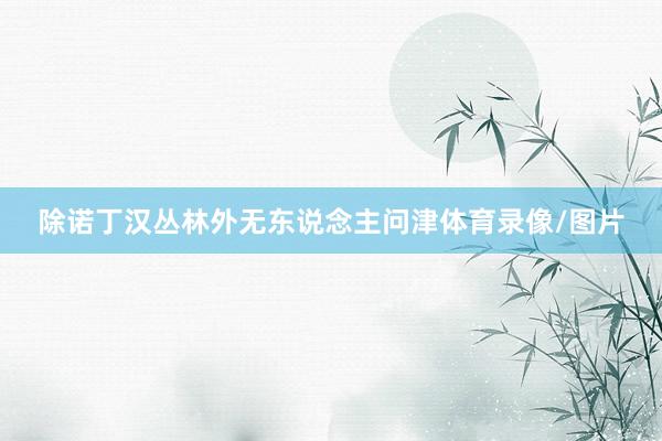 除诺丁汉丛林外无东说念主问津体育录像/图片