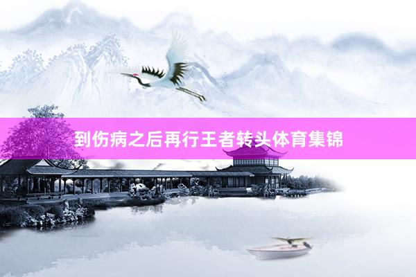 到伤病之后再行王者转头体育集锦