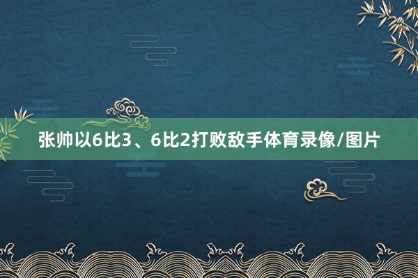 张帅以6比3、6比2打败敌手体育录像/图片