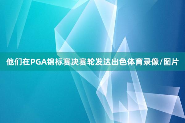 他们在PGA锦标赛决赛轮发达出色体育录像/图片