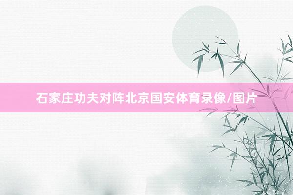 石家庄功夫对阵北京国安体育录像/图片