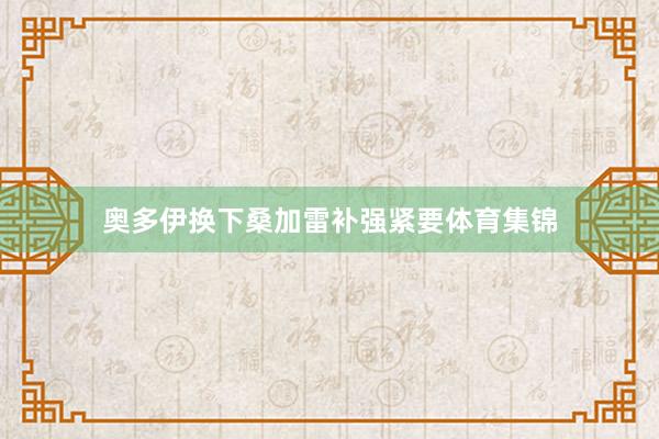 奥多伊换下桑加雷补强紧要体育集锦