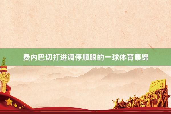 费内巴切打进调停顺眼的一球体育集锦