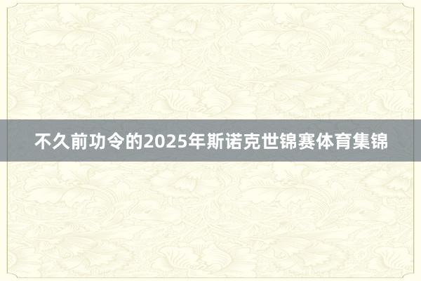 不久前功令的2025年斯诺克世锦赛体育集锦