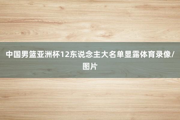 中国男篮亚洲杯12东说念主大名单显露体育录像/图片