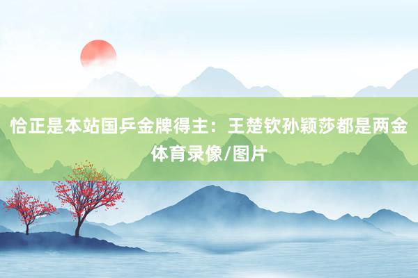 恰正是本站国乒金牌得主：王楚钦孙颖莎都是两金体育录像/图片