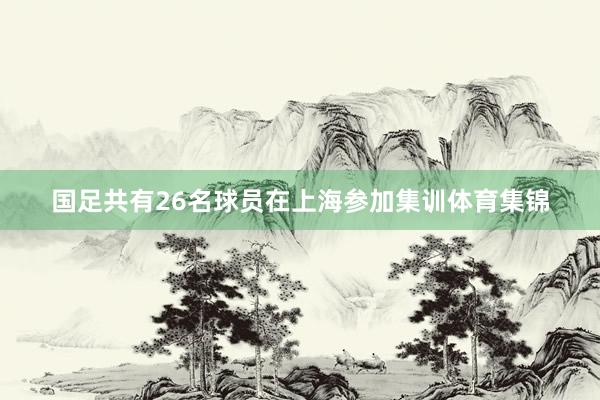 国足共有26名球员在上海参加集训体育集锦