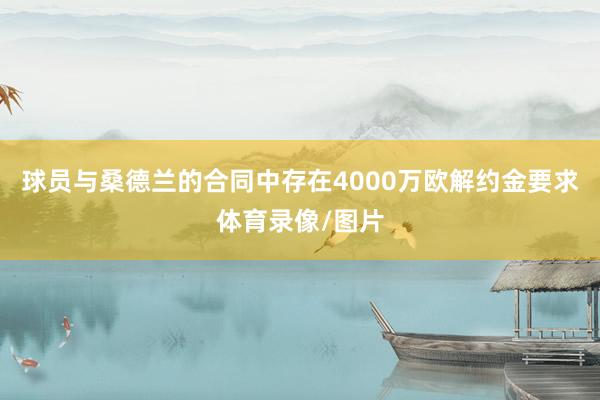 球员与桑德兰的合同中存在4000万欧解约金要求体育录像/图片