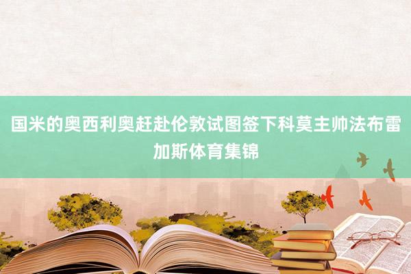 国米的奥西利奥赶赴伦敦试图签下科莫主帅法布雷加斯体育集锦