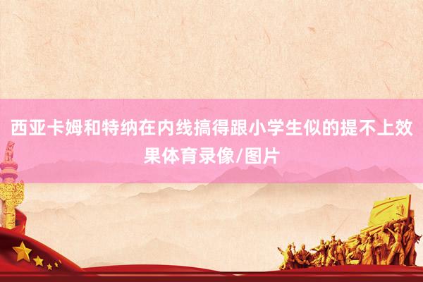 西亚卡姆和特纳在内线搞得跟小学生似的提不上效果体育录像/图片