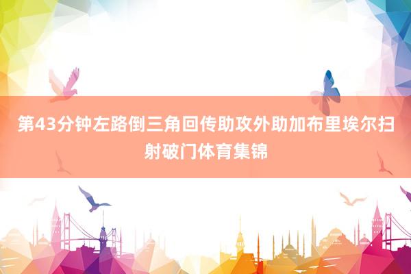 第43分钟左路倒三角回传助攻外助加布里埃尔扫射破门体育集锦