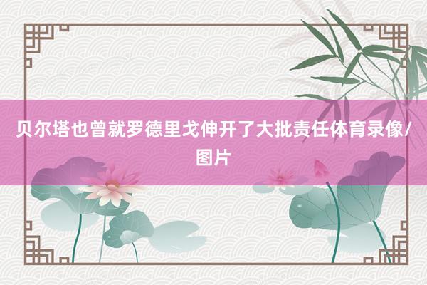 贝尔塔也曾就罗德里戈伸开了大批责任体育录像/图片