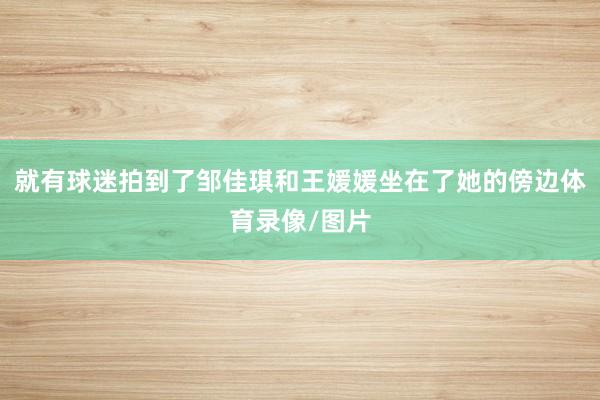 就有球迷拍到了邹佳琪和王媛媛坐在了她的傍边体育录像/图片