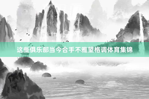 这些俱乐部当今合手不雅望格调体育集锦