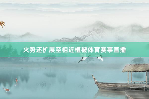 火势还扩展至相近植被体育赛事直播