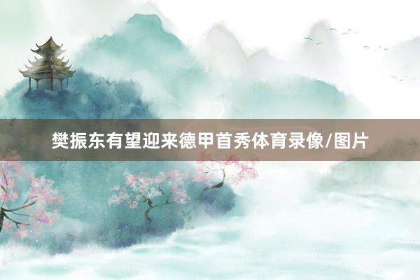 樊振东有望迎来德甲首秀体育录像/图片