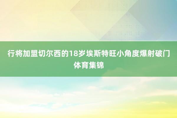 行将加盟切尔西的18岁埃斯特旺小角度爆射破门体育集锦